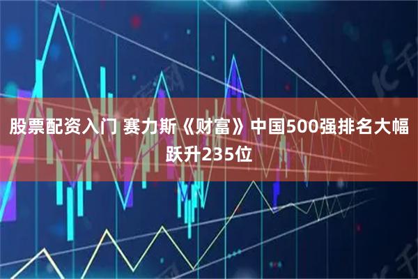 股票配资入门 赛力斯《财富》中国500强排名大幅跃升235位