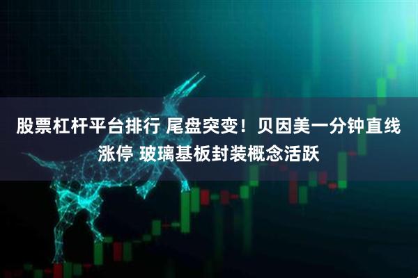 股票杠杆平台排行 尾盘突变！贝因美一分钟直线涨停 玻璃基板封装概念活跃